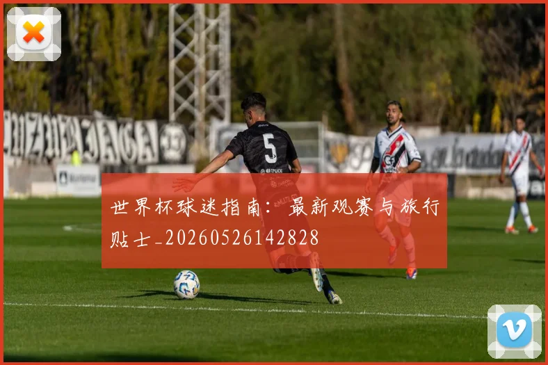 世界杯球迷指南：最新观赛与旅行贴士_20260526142828