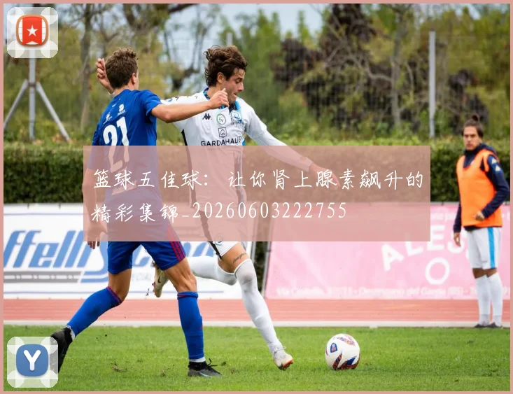 篮球五佳球：让你肾上腺素飙升的精彩集锦_20260603222755