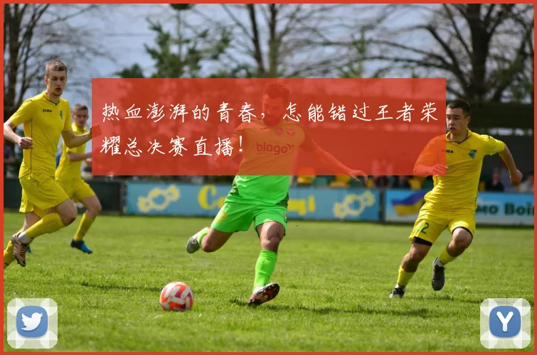 热血澎湃的青春，怎能错过王者荣耀总决赛直播！