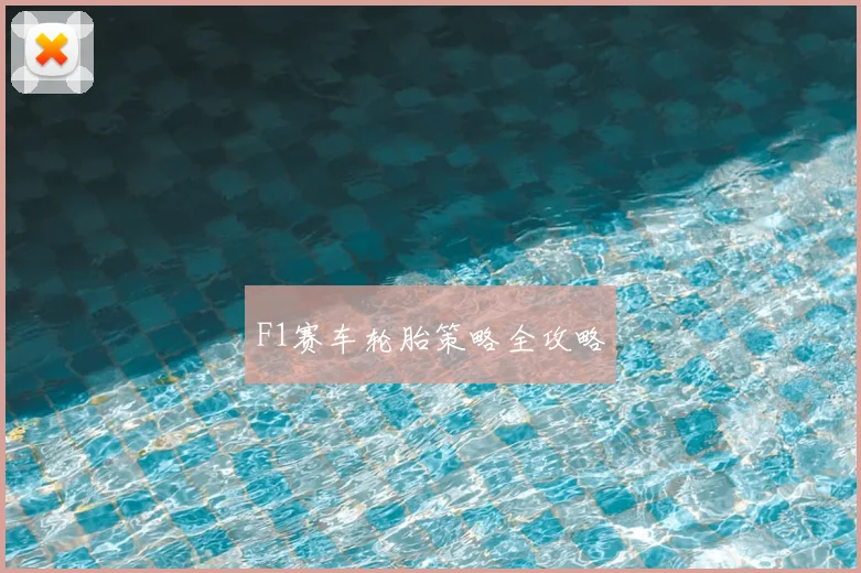 F1赛车轮胎策略全攻略