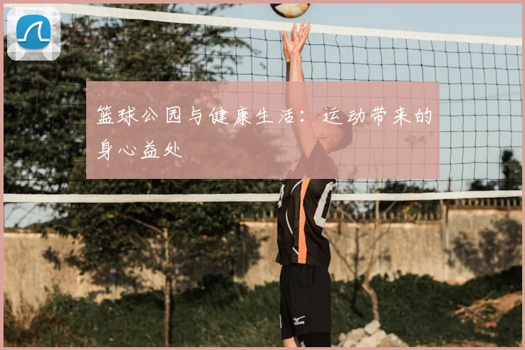 篮球公园与健康生活：运动带来的身心益处